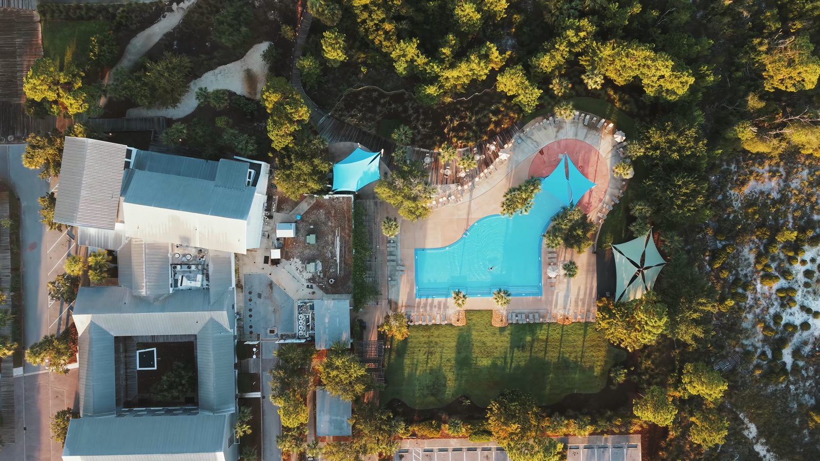 Straight-down aerial of a pool, deck and treetops beside a white-roofed home